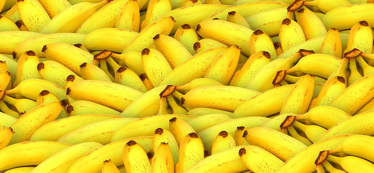 compostable fruit bag