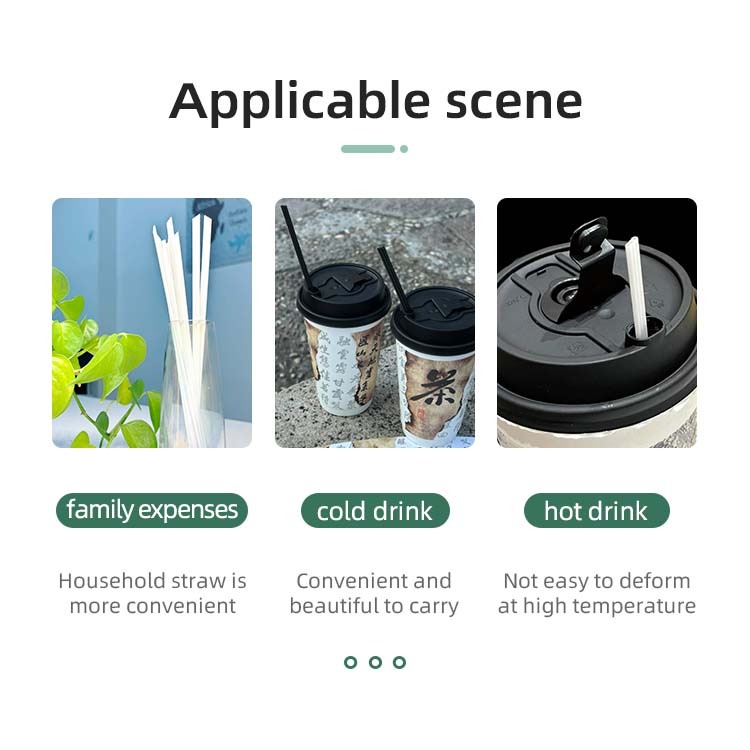 imgi_30_三品吸管英3