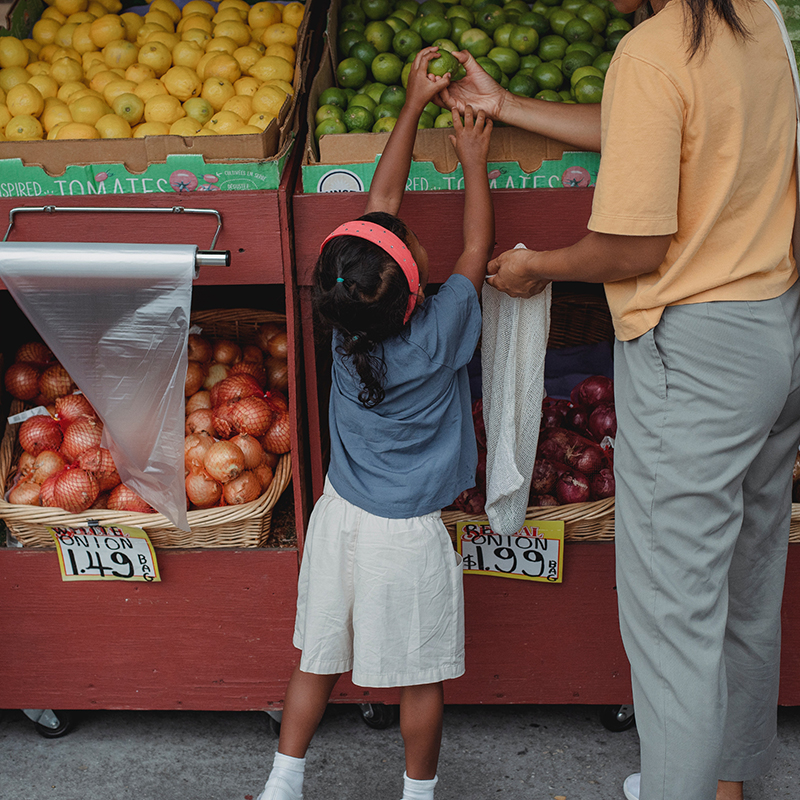 compostable fruit bags