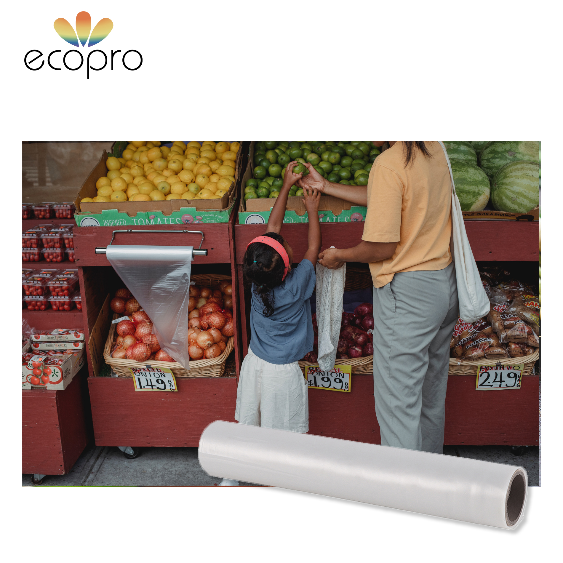 Vegetable bags wholesale hotsell